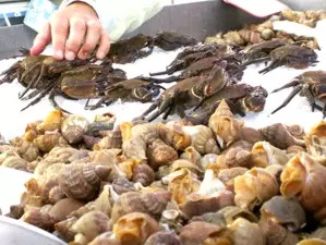Frische Meeresfrüchte auf dem Fischmarkt Dieppe